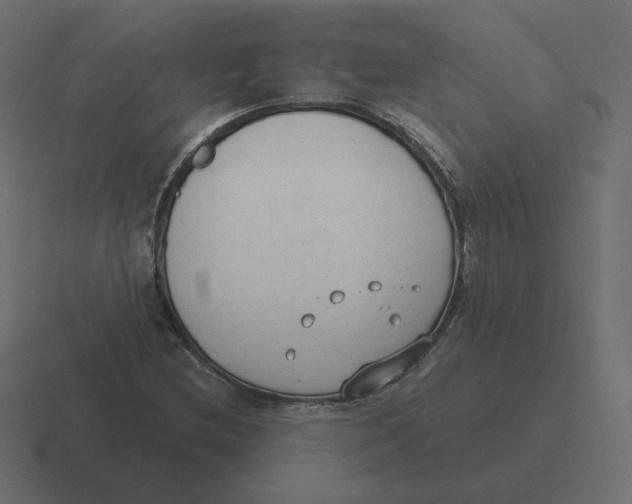 X0000116511212200912292138