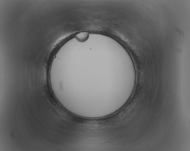 X0000116511214200912292138