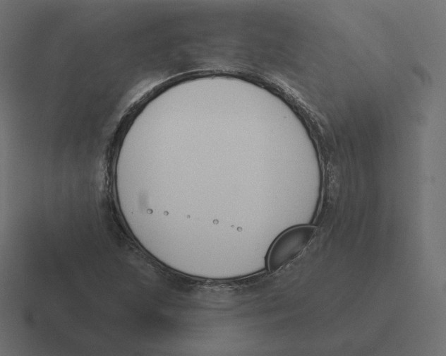 X0000116511215200912292138