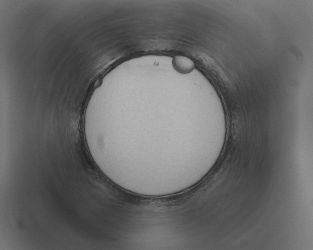 X0000116511217200912292138