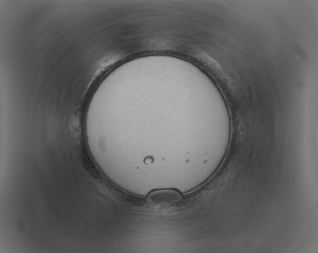 X0000116511218200912292138