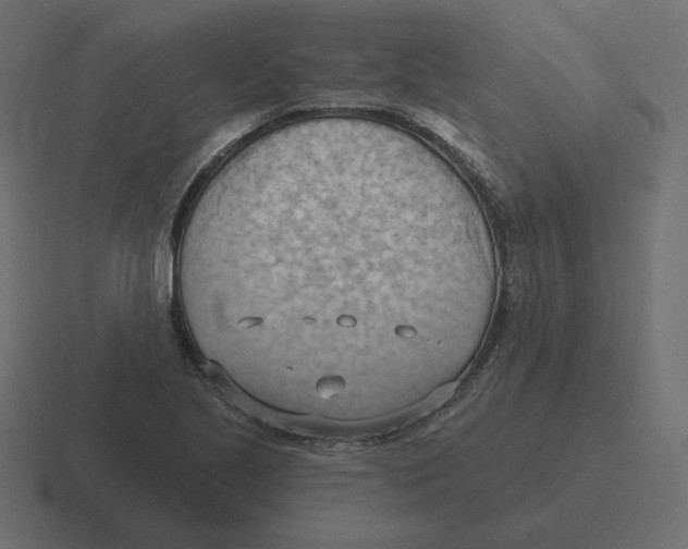 X0000116511221200912292138