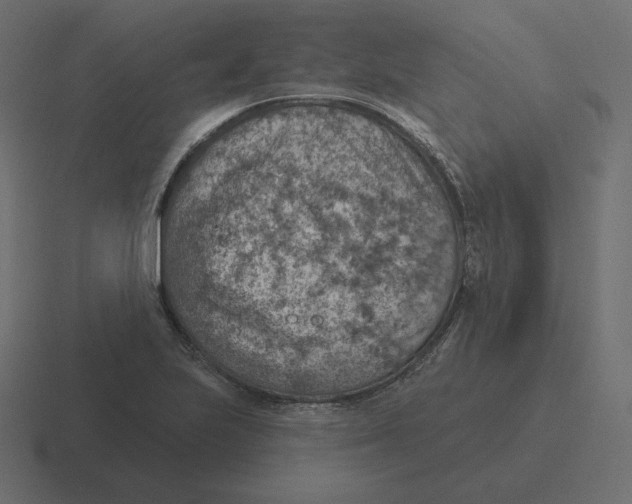 X0000116511223200912292138