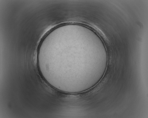 X0000116511224200912292138