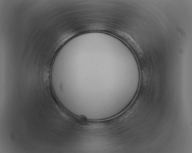 X0000116511225200912292138