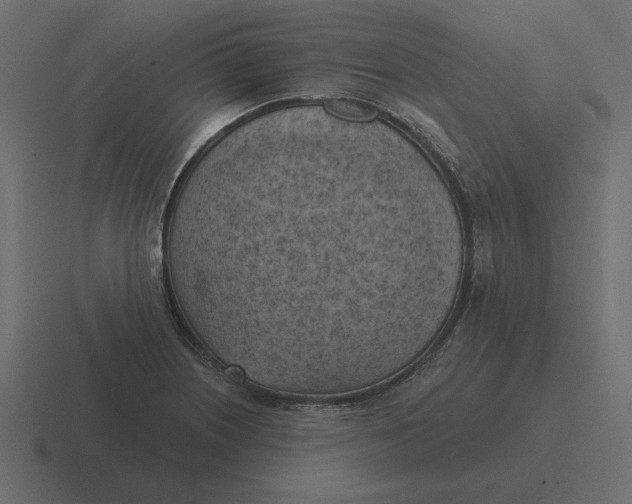 X0000116511226200912292138