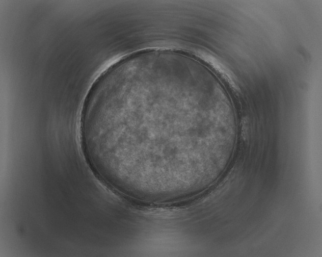 X0000116511229200912292138