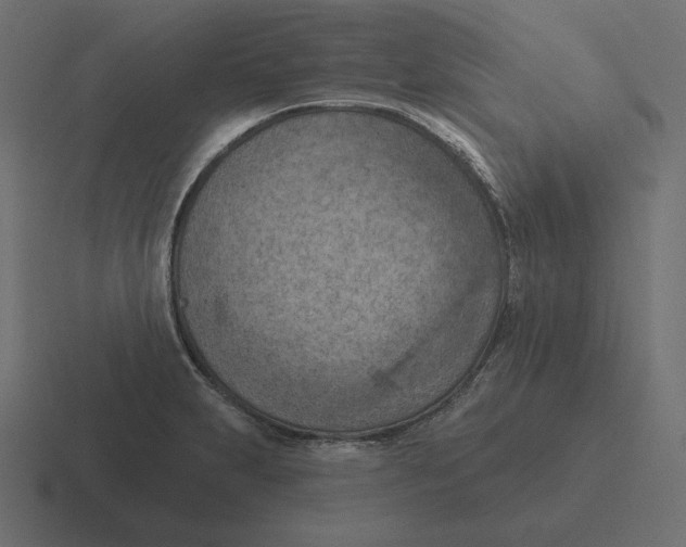 X0000116511231200912292138