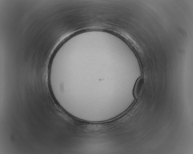 X0000116511232200912292138