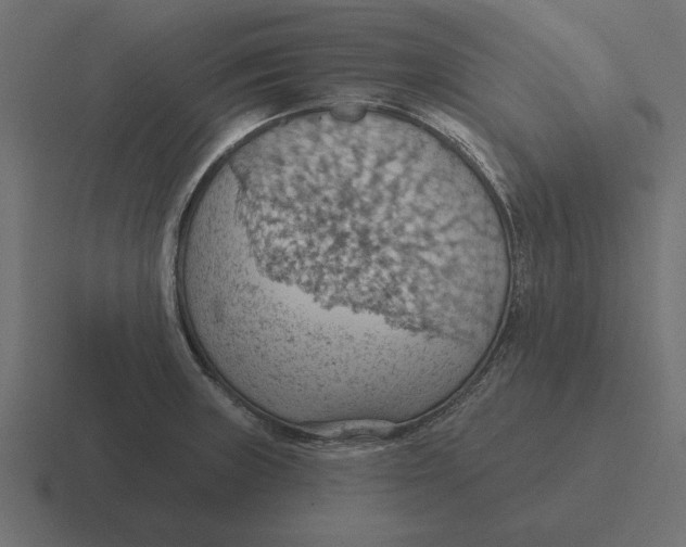 X0000116511235200912292138