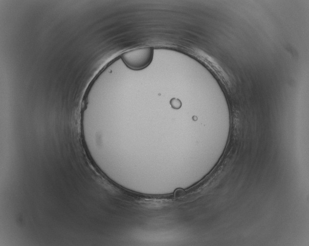 X0000116511236200912292138