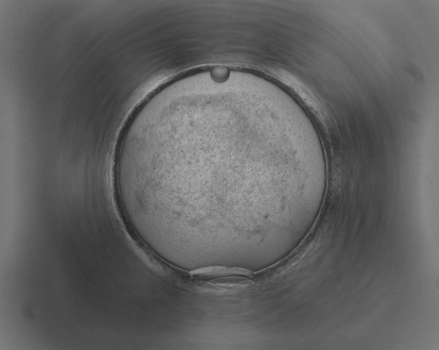 X0000116511237200912292138