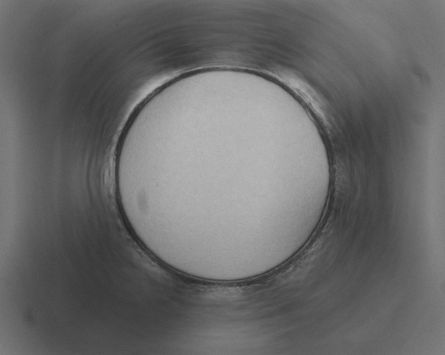 X0000116511238200912292138