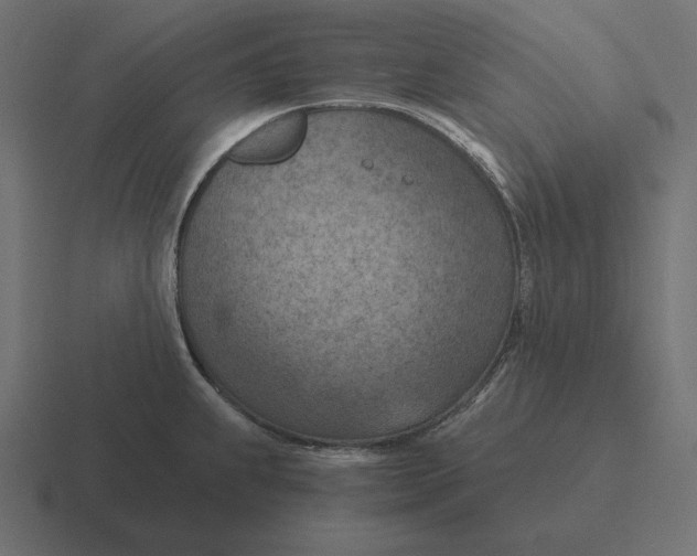 X0000116511239200912292138