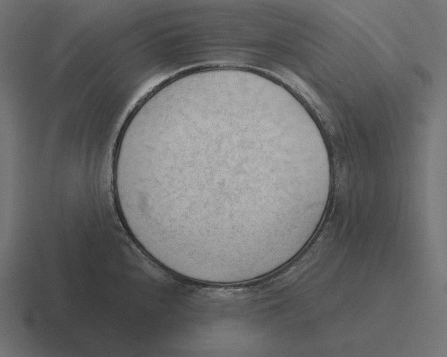 X0000116511240200912292138