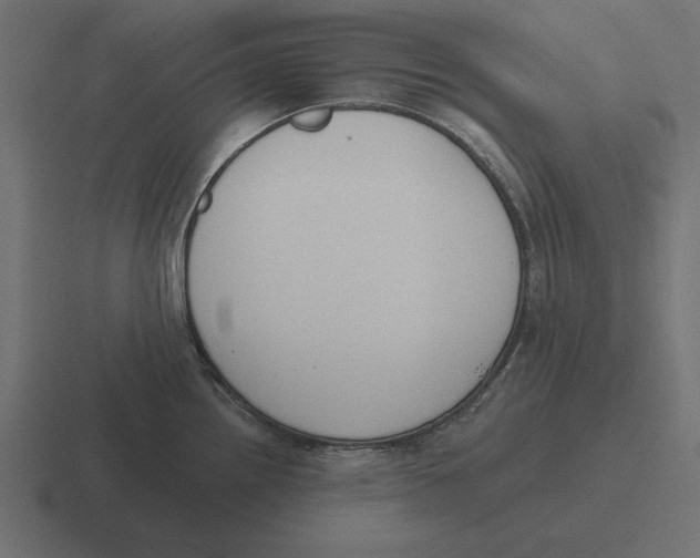 X0000116511242200912292138