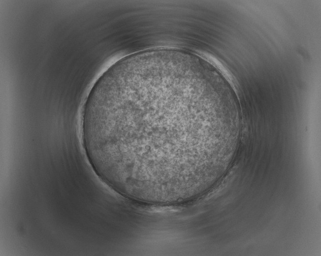 X0000116511243200912292138