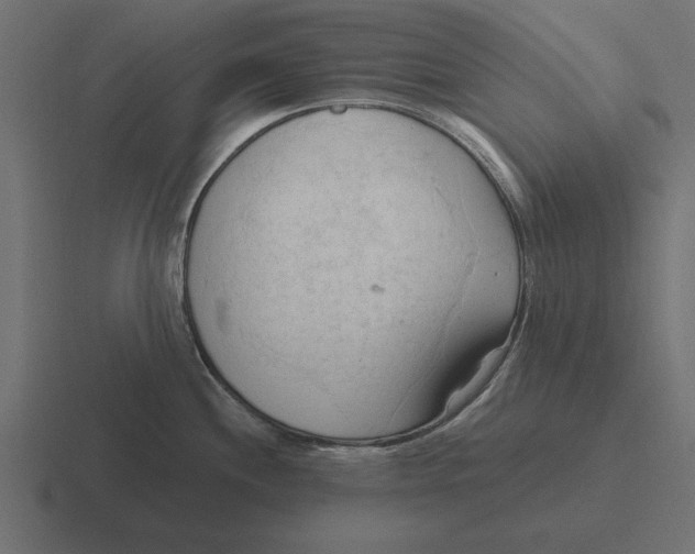 X0000116511244200912292138