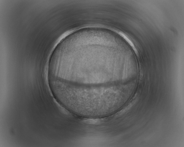 X0000116511245200912292138