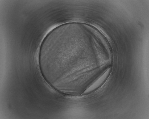 X0000116511246200912292138