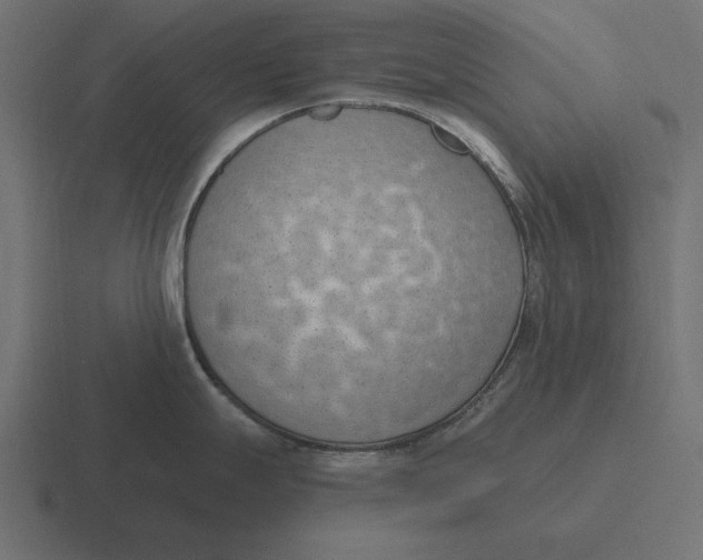 X0000116511247200912292138