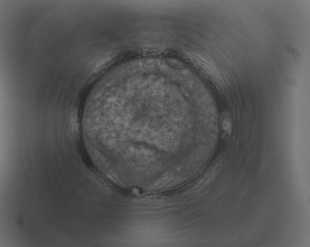 X0000116511252200912292137