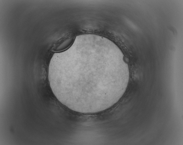 X0000116511253200912292137