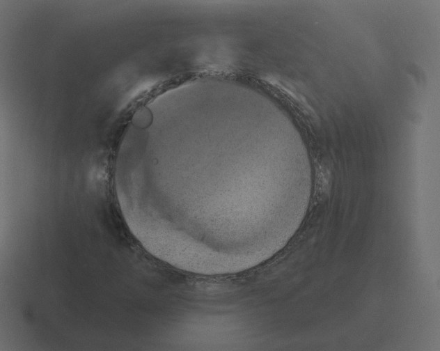 X0000116511254200912292137