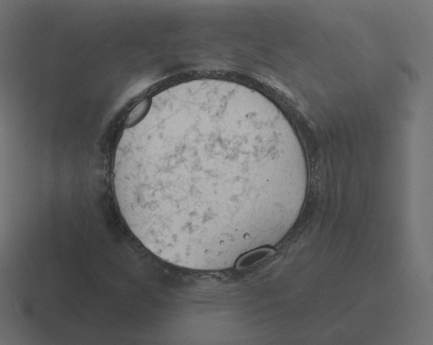 X0000116511255200912292137