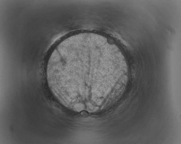 X0000116511256200912292137