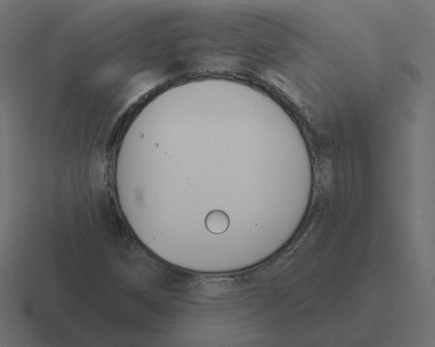 X0000116511258200912292137