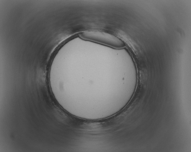 X0000116511260200912292137