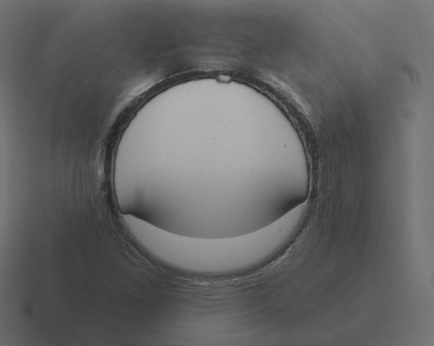 X0000116511261200912292137