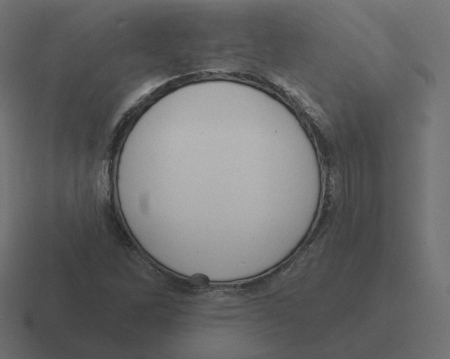 X0000116511262200912292137