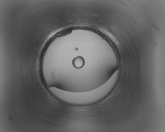 X0000116511264200912292137