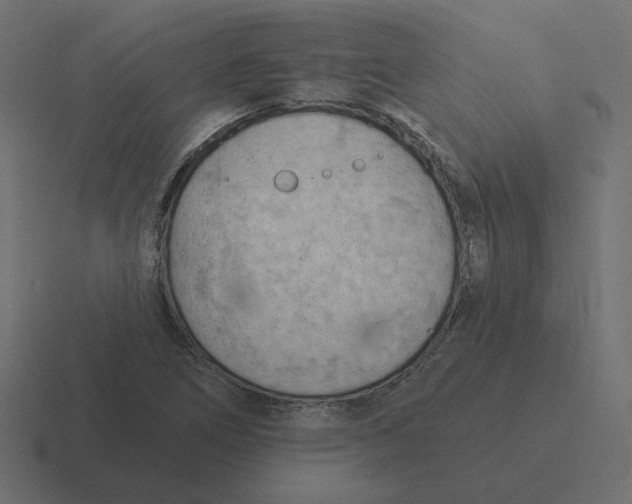 X0000116511266200912292137