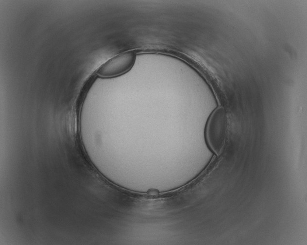 X0000116511269200912292137