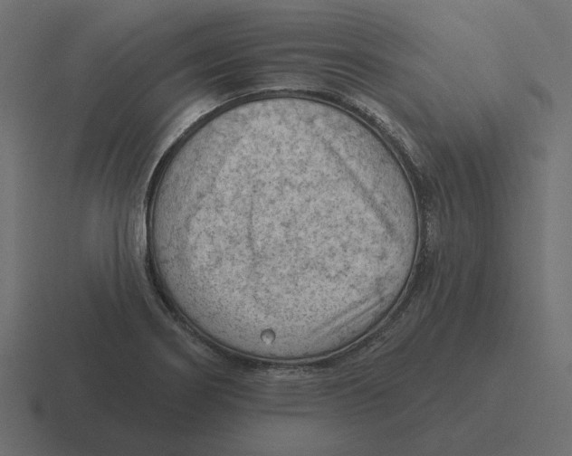 X0000116511274200912292137