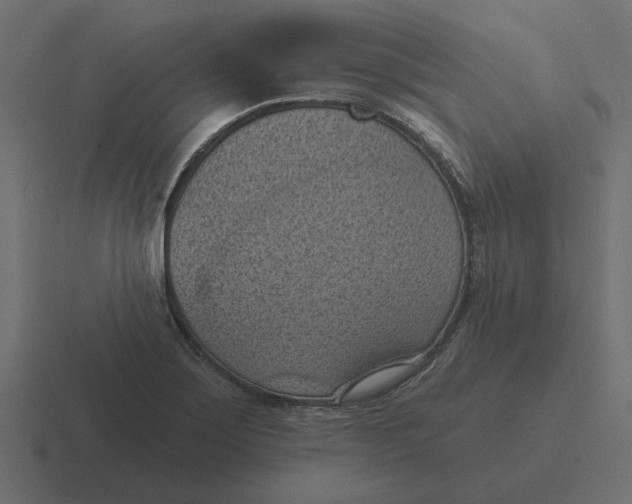 X0000116511275200912292137