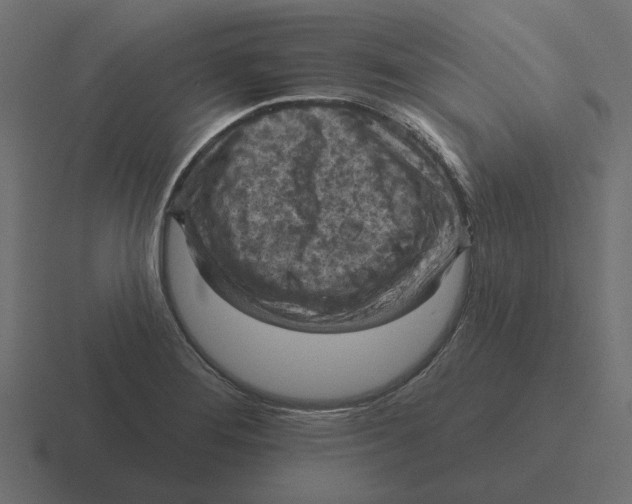 X0000116511276200912292137