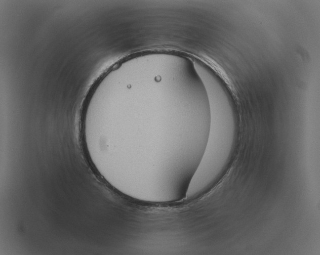 X0000116511277200912292137