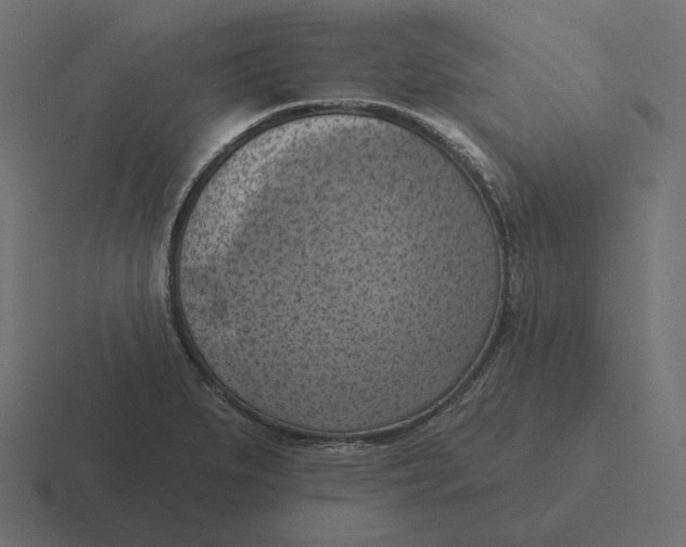 X0000116511279200912292137