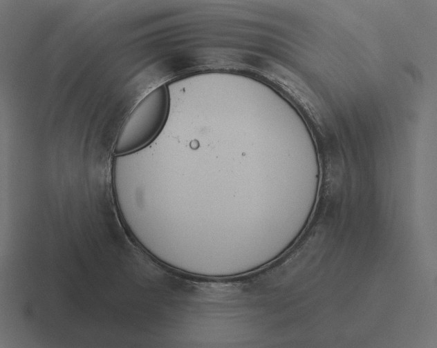 X0000116511281200912292137