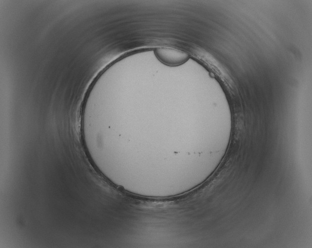 X0000116511284200912292137