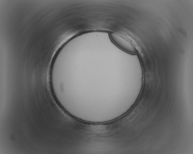 X0000116511285200912292137