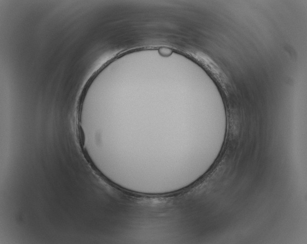 X0000116511286200912292137