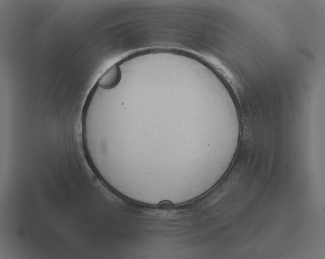 X0000116511287200912292137