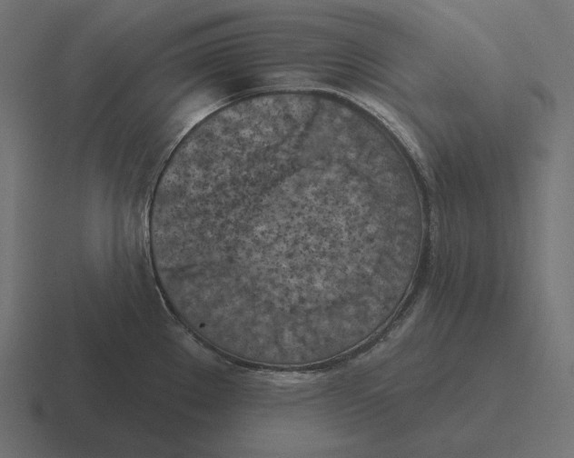 X0000116511289200912292137