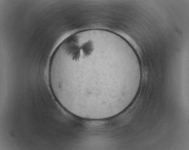 X0000116511294200912292137