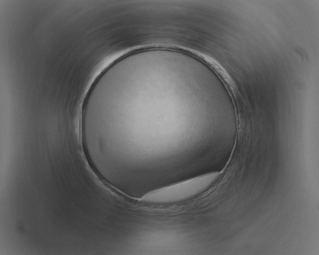 X0000116511295200912292137